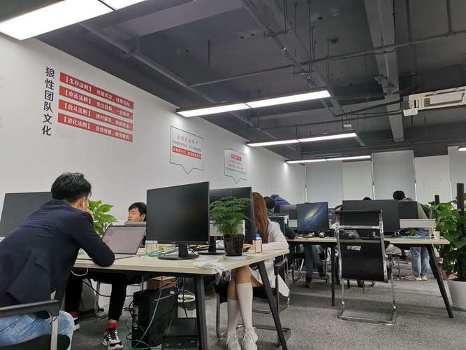浙江秘乐魔方网络科技 信息技术咨询服务的领航者与创新实践